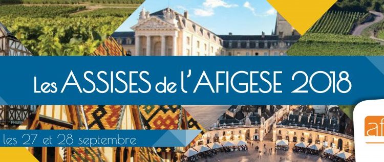 Assises AFIGESE: engager les fonctions ressources dans la performance des politiques de solidarité