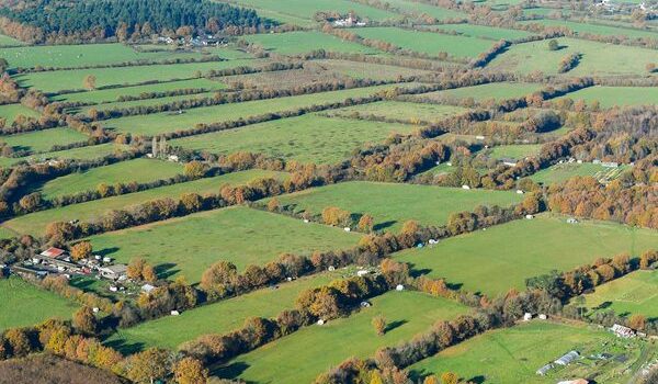 Le jour où je suis allée à Notre-Dame-des-Landes